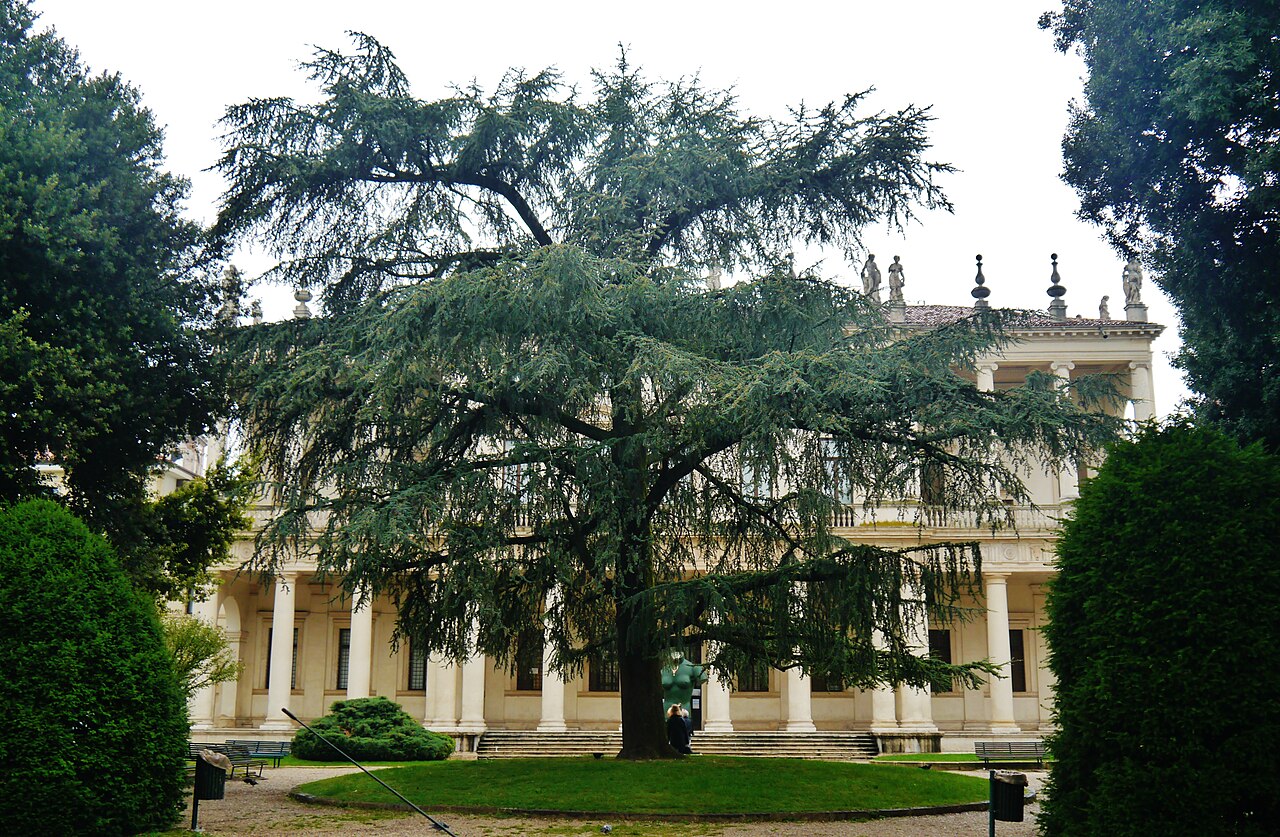 Palazzo Chiericati — Pinacoteca